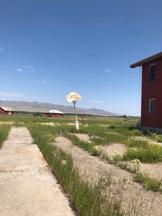 Old basketball hoop with the farm that children worked at behind